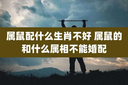 属鼠配什么生肖不好 属鼠的和什么属相不能婚配