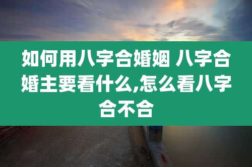 如何用八字合婚姻 八字合婚主要看什么,怎么看八字合不合