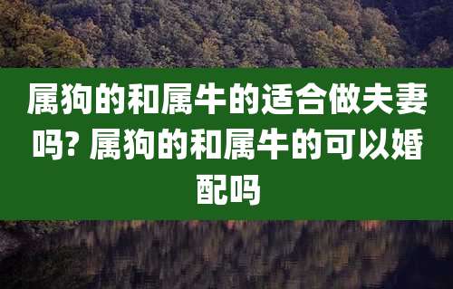 属狗的和属牛的适合做夫妻吗? 属狗的和属牛的可以婚配吗