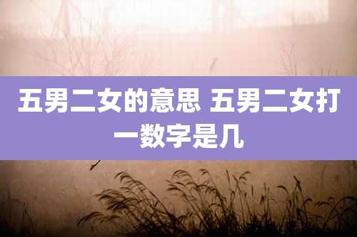 五男二女的意思 五男二女打一数字是几