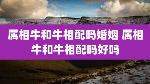 属相牛和牛相配吗婚姻 属相牛和牛相配吗好吗