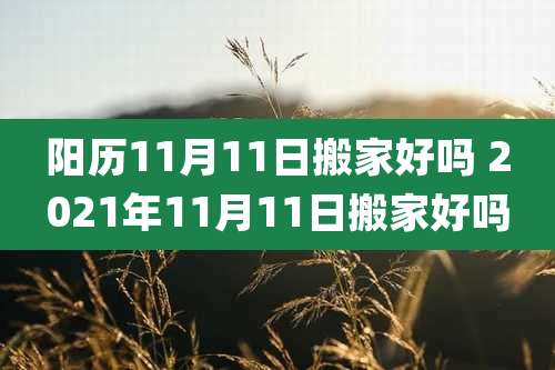 阳历11月11日搬家好吗 2021年11月11日搬家好吗