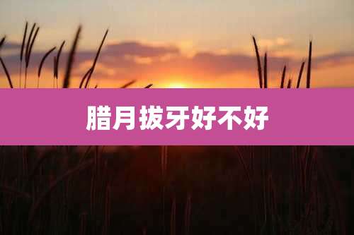 腊月拔牙好不好