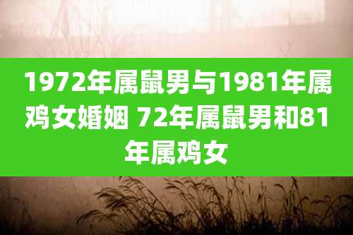 1972年属鼠男与1981年属鸡女婚姻 72年属鼠男和81年属鸡女