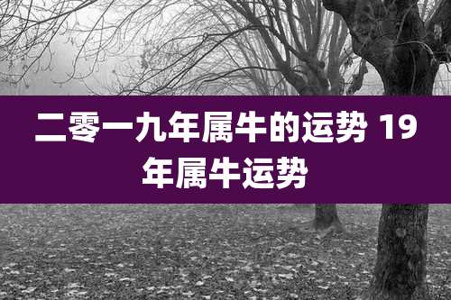 二零一九年属牛的运势 19年属牛运势