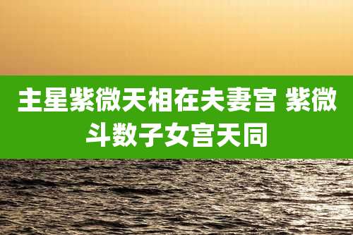 主星紫微天相在夫妻宫 紫微斗数子女宫天同