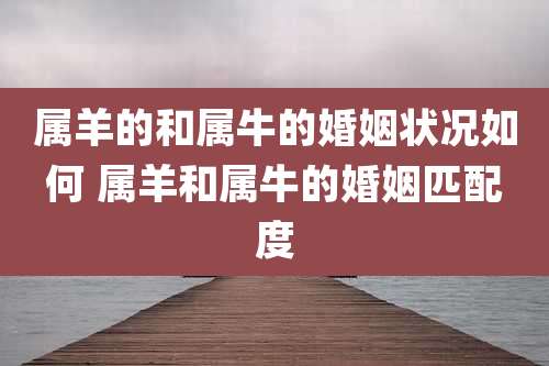 属羊的和属牛的婚姻状况如何 属羊和属牛的婚姻匹配度