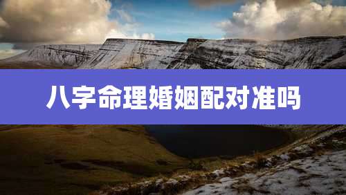 八字命理婚姻配对准吗