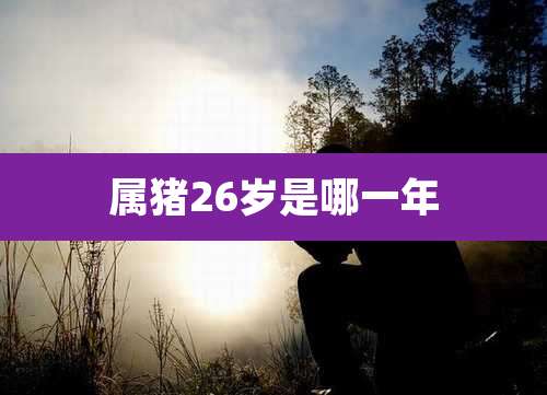 属猪26岁是哪一年