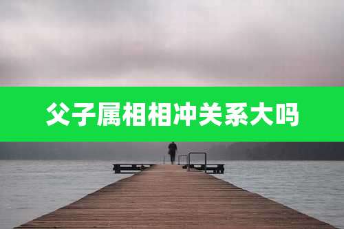 父子属相相冲关系大吗