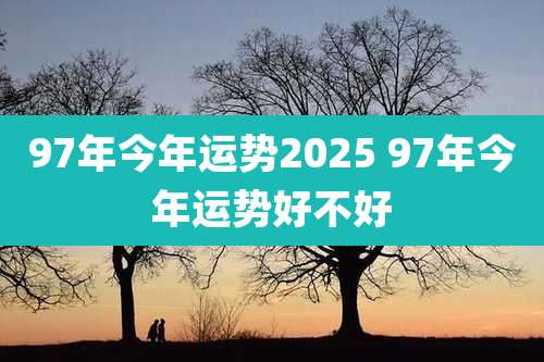 97年今年运势2025 97年今年运势好不好