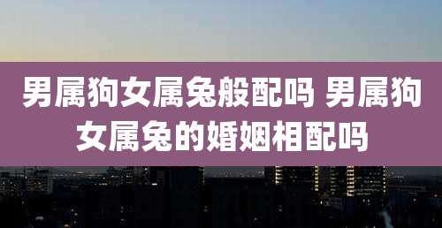 男属狗女属兔般配吗 男属狗女属兔的婚姻相配吗