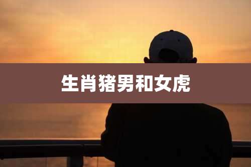 生肖猪男和女虎