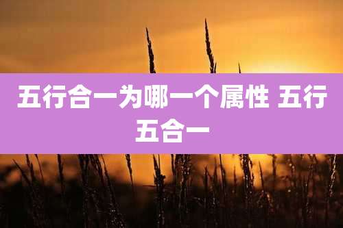 五行合一为哪一个属性 五行五合一
