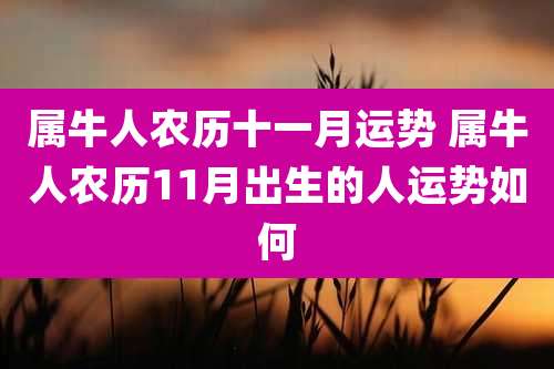 属牛人农历十一月运势 属牛人农历11月出生的人运势如何