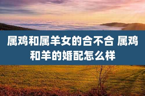 属鸡和属羊女的合不合 属鸡和羊的婚配怎么样