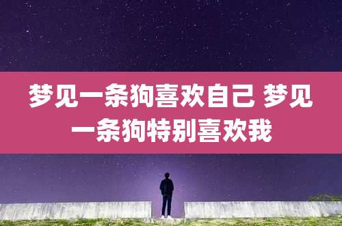 梦见一条狗喜欢自己 梦见一条狗特别喜欢我