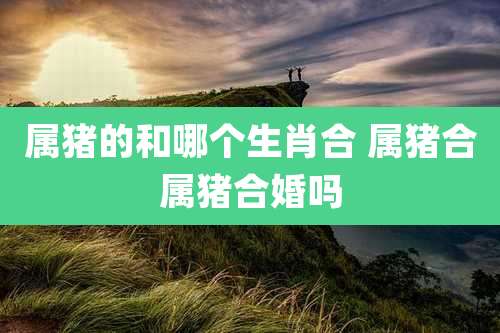 属猪的和哪个生肖合 属猪合属猪合婚吗