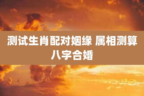 测试生肖配对姻缘 属相测算八字合婚