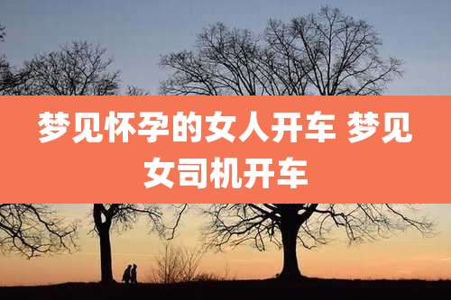 梦见怀孕的女人开车 梦见女司机开车