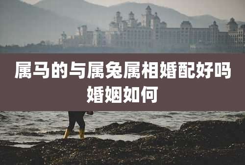 属马的与属兔属相婚配好吗婚姻如何