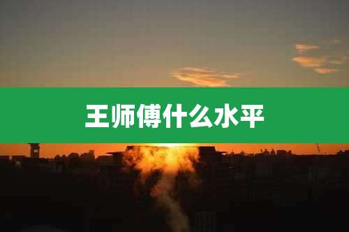 王师傅什么水平