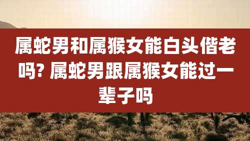 属蛇男和属猴女能白头偕老吗? 属蛇男跟属猴女能过一辈子吗