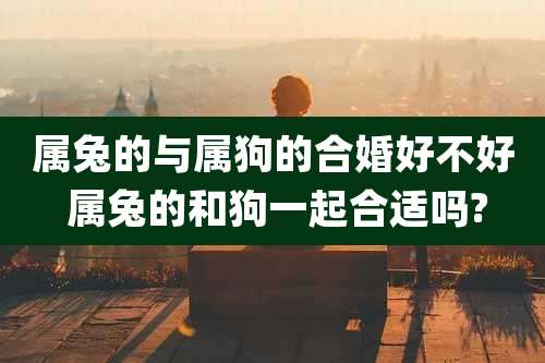 属兔的与属狗的合婚好不好 属兔的和狗一起合适吗?