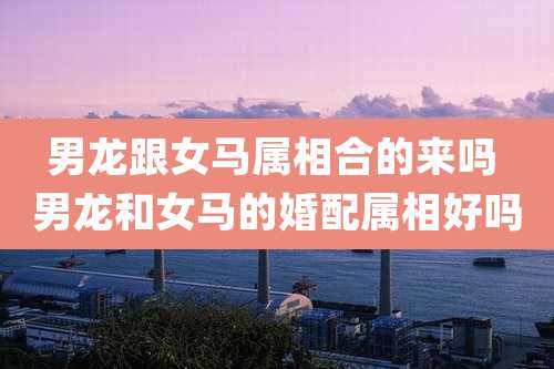 男龙跟女马属相合的来吗 男龙和女马的婚配属相好吗