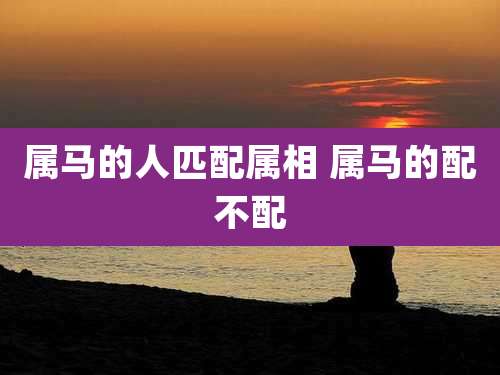属马的人匹配属相 属马的配不配