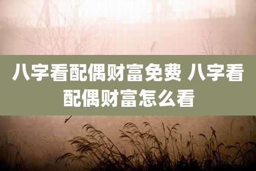 八字看配偶财富免费 八字看配偶财富怎么看