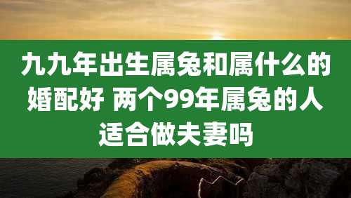 九九年出生属兔和属什么的婚配好 两个99年属兔的人适合做夫妻吗