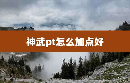 神武pt怎么加点好
