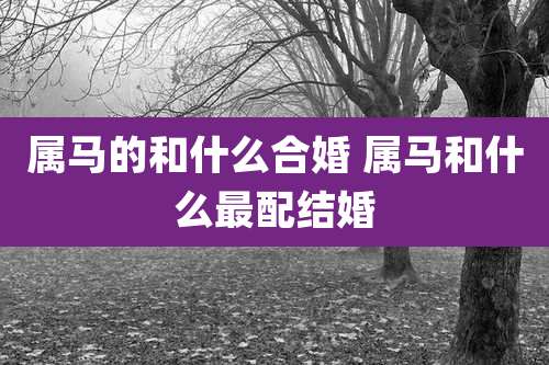 属马的和什么合婚 属马和什么最配结婚