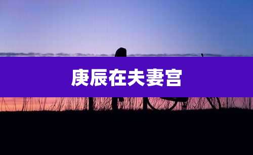 庚辰在夫妻宫