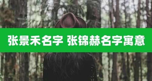 张景禾名字 张锦赫名字寓意