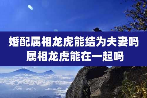 婚配属相龙虎能结为夫妻吗 属相龙虎能在一起吗