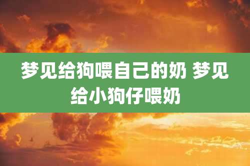 梦见给狗喂自己的奶 梦见给小狗仔喂奶