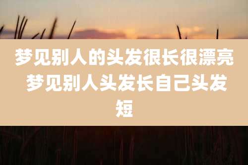 梦见别人的头发很长很漂亮 梦见别人头发长自己头发短