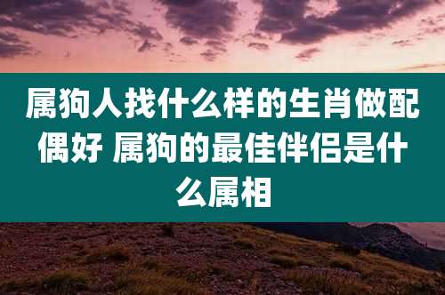 属狗人找什么样的生肖做配偶好 属狗的最佳伴侣是什么属相