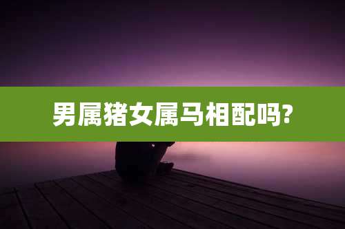 男属猪女属马相配吗?