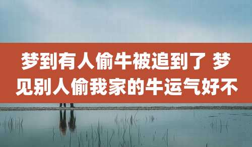 梦到有人偷牛被追到了 梦见别人偷我家的牛运气好不