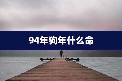 94年狗年什么命