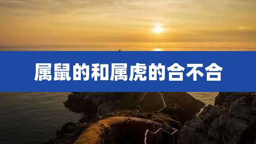 属鼠的和属虎的合不合