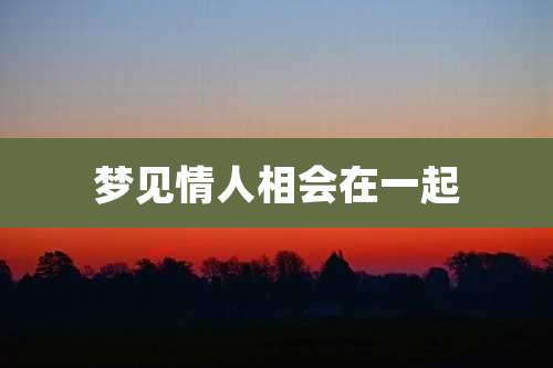 梦见情人相会在一起