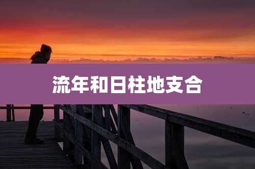 流年和日柱地支合