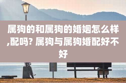 属狗的和属狗的婚姻怎么样,配吗? 属狗与属狗婚配好不好