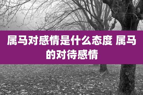 属马对感情是什么态度 属马的对待感情