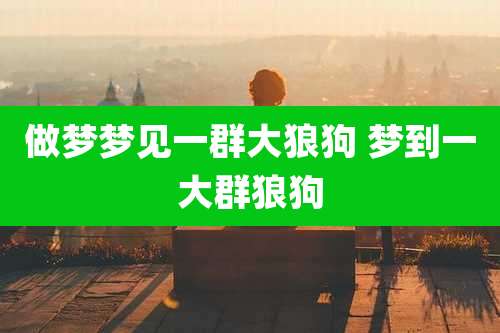 做梦梦见一群大狼狗 梦到一大群狼狗