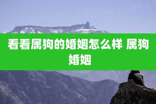 看看属狗的婚姻怎么样 属狗 婚姻